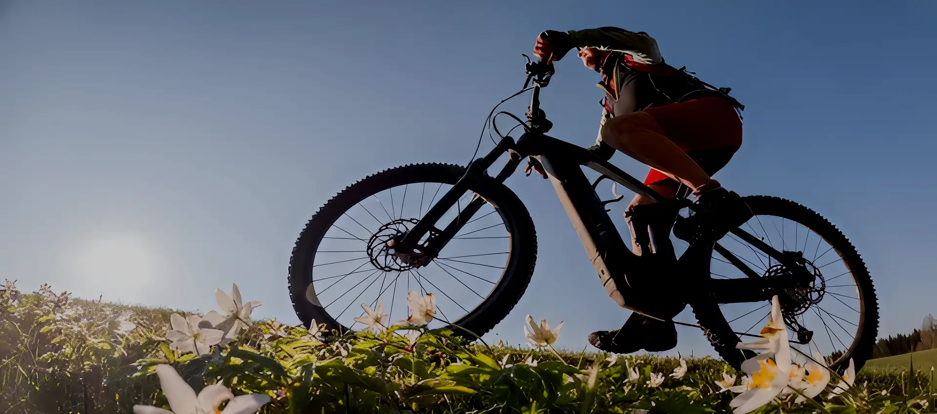 Electric bikes - Sale ! image